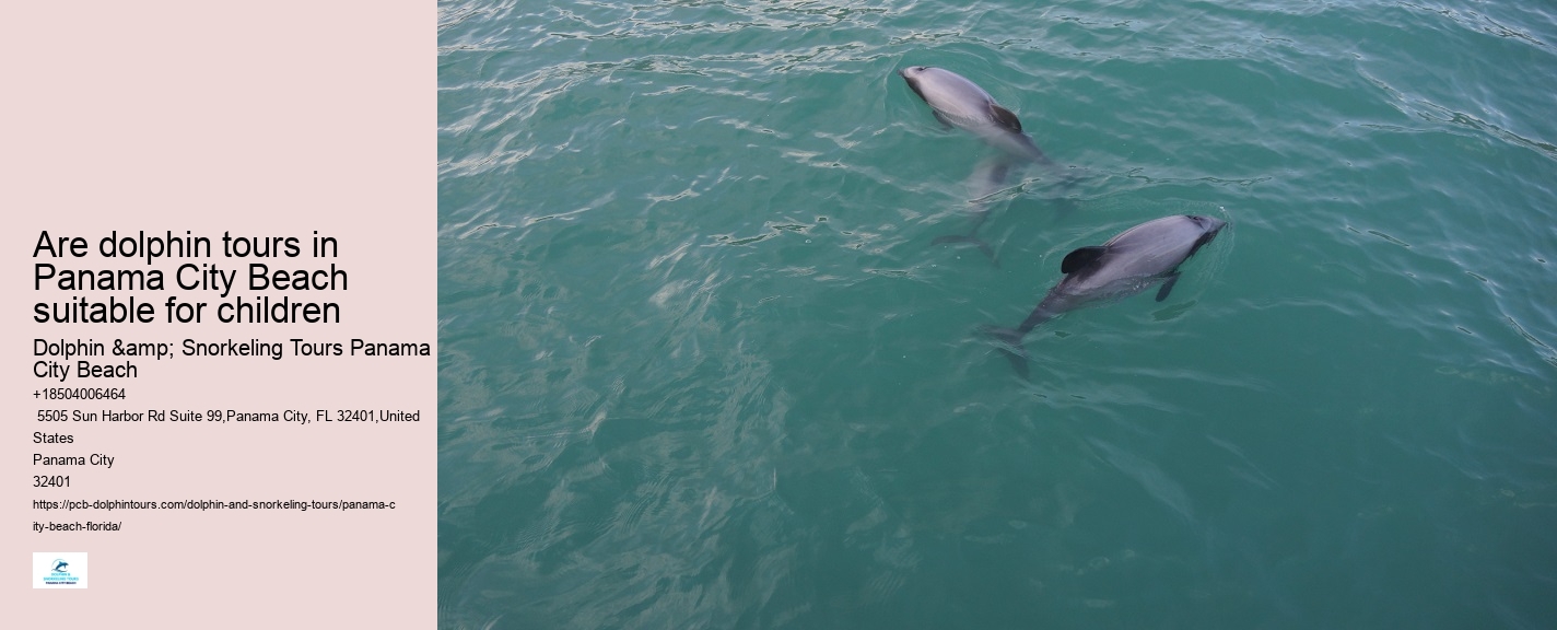 Panama City Beach Dolphin Voyage Tours