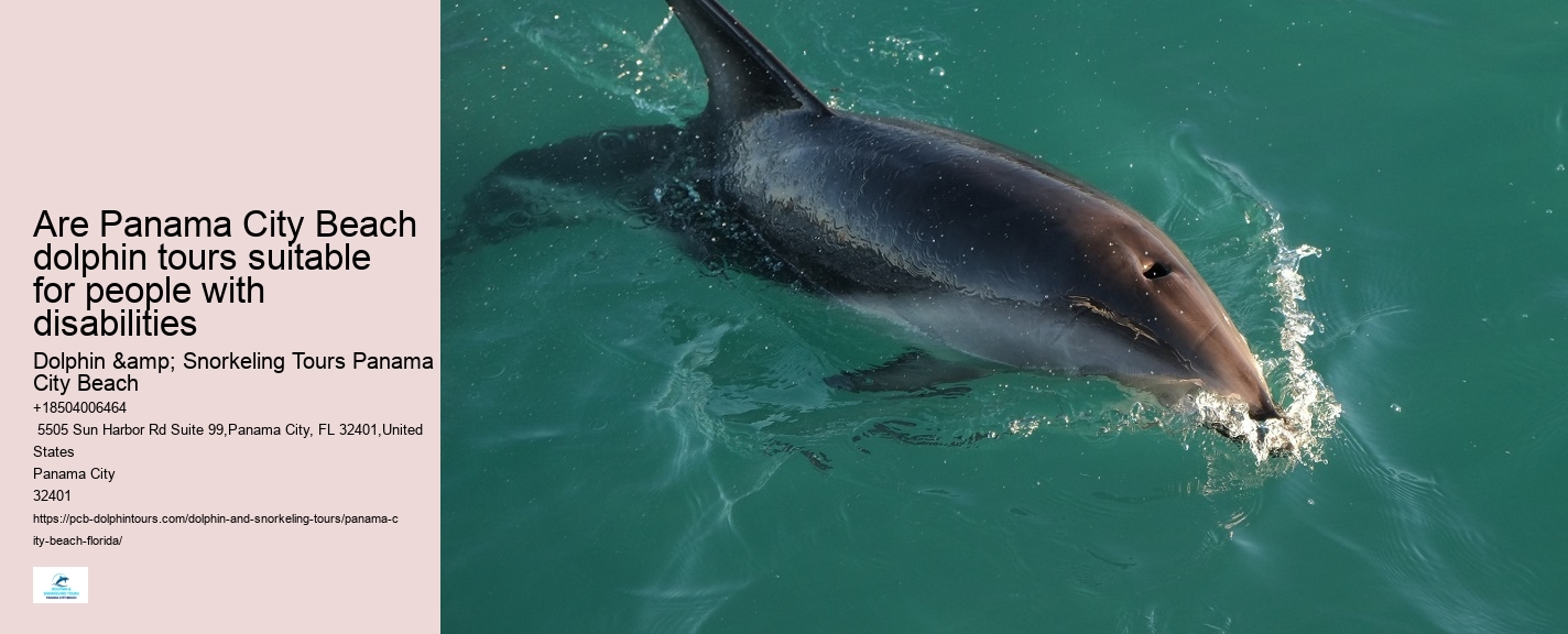 Are Panama City Beach dolphin tours suitable for people with disabilities