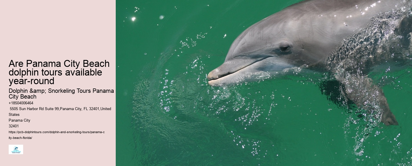 PCB Dolphin Tours