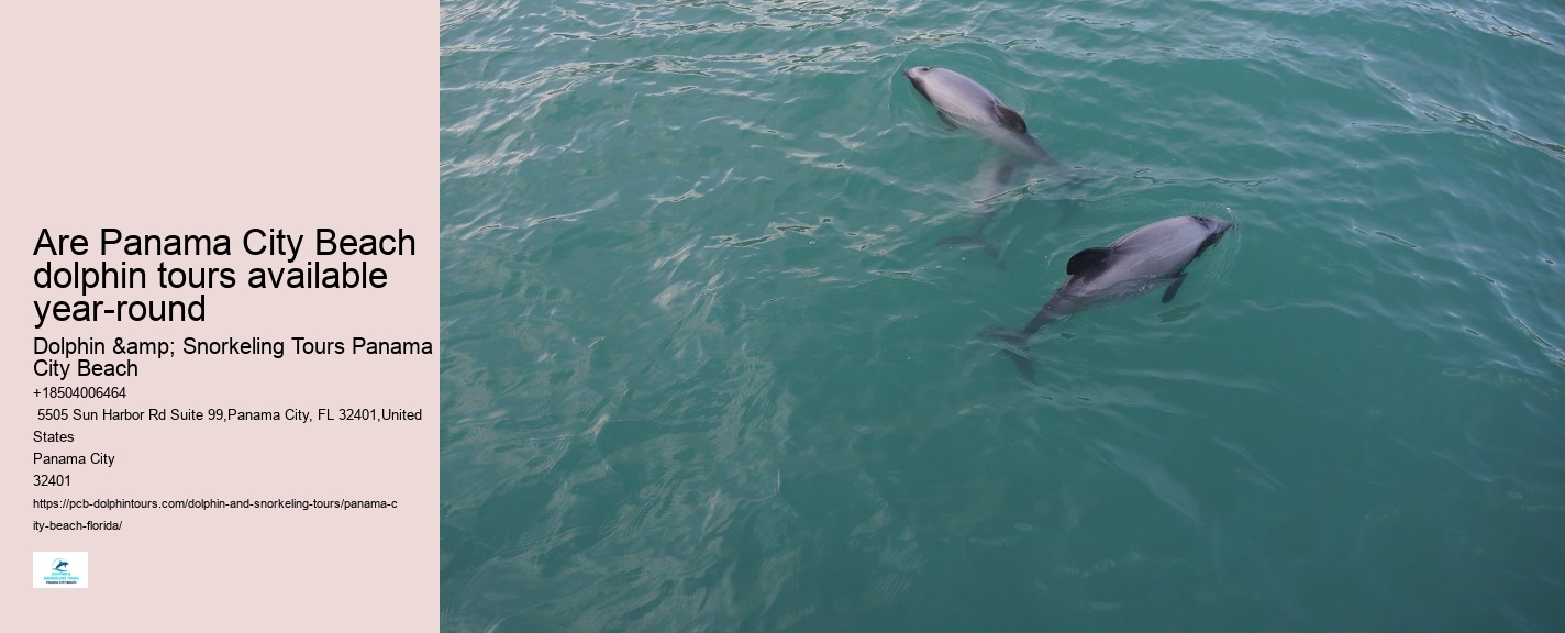 Panama City Beach dolphin excursions