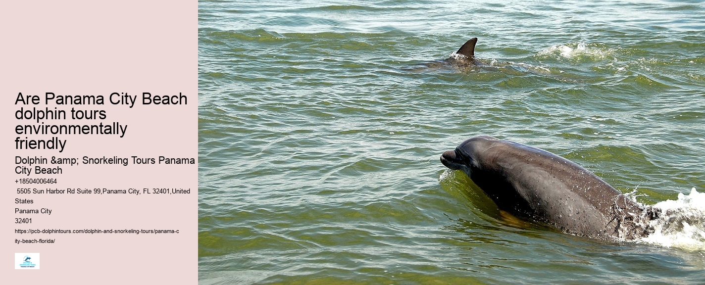 How Deep Is The Water When You Swim With Dolphins