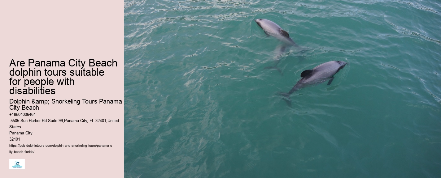 Dolphin Tours Panama City Beach