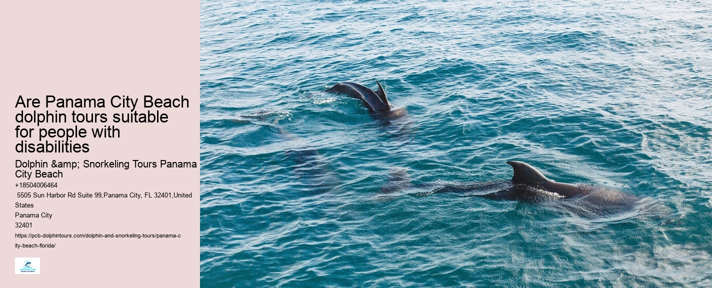 Panama City Beach dolphin sightseeing cruises