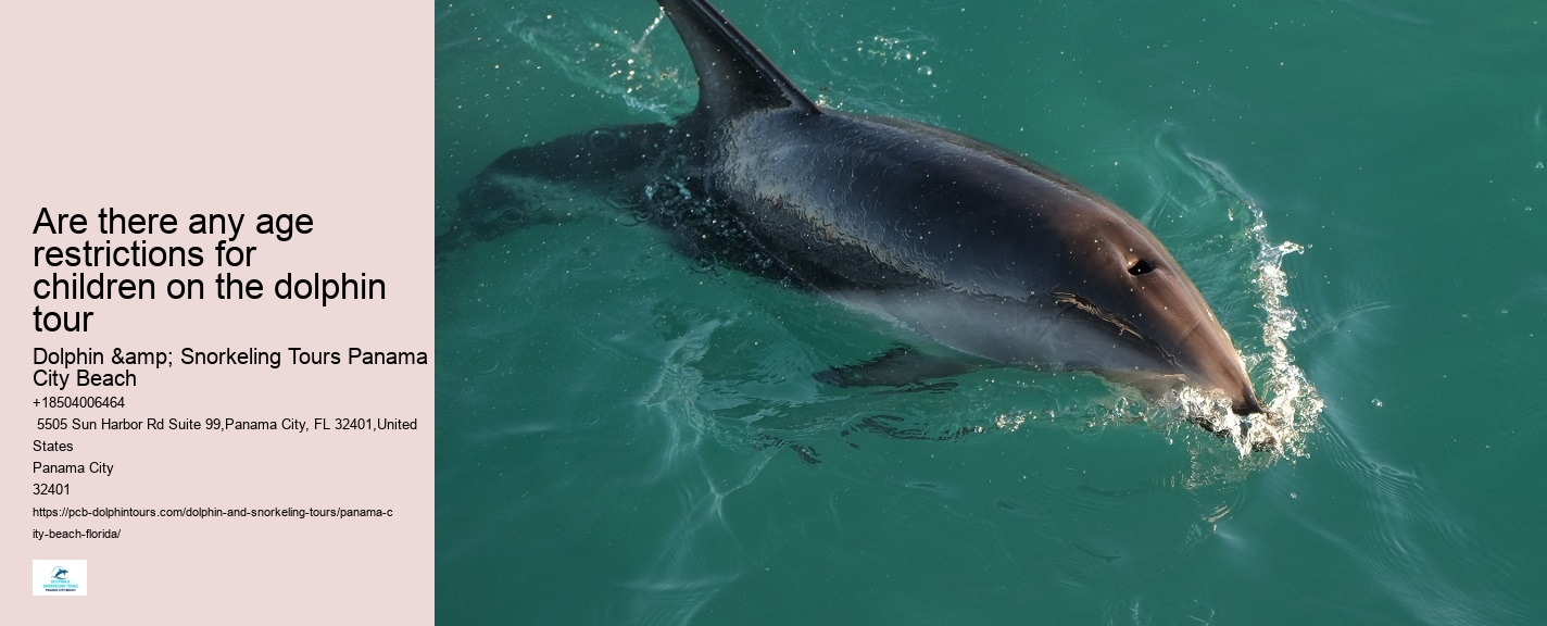 Are There Dolphins In Panama City Beach