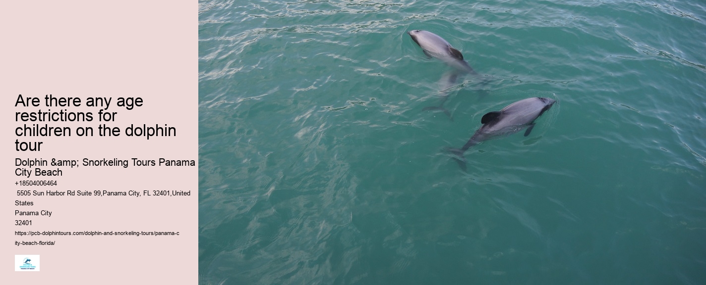 Panama City Beach Dolphin