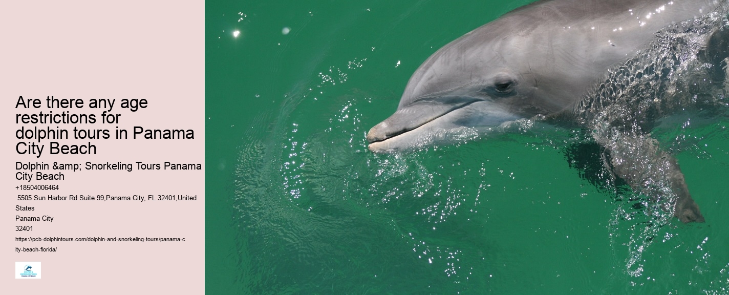 Dolphin Tours Panama City Beach Jet Ski