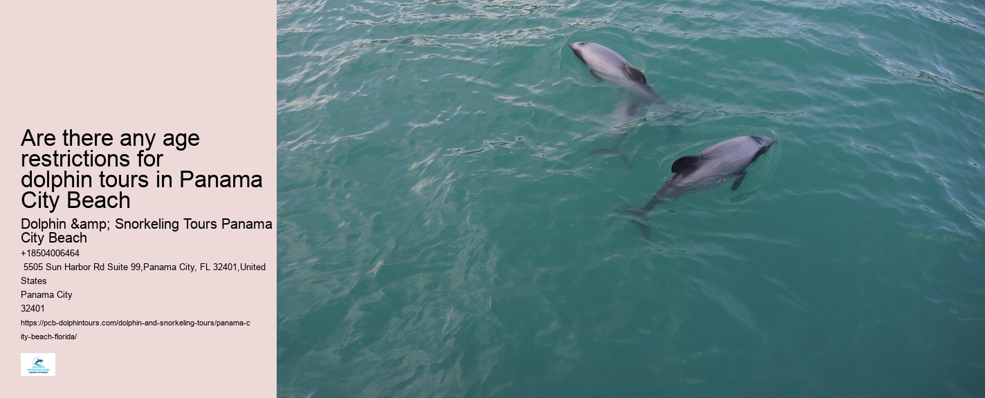 Are Dolphins At Panama City Beach