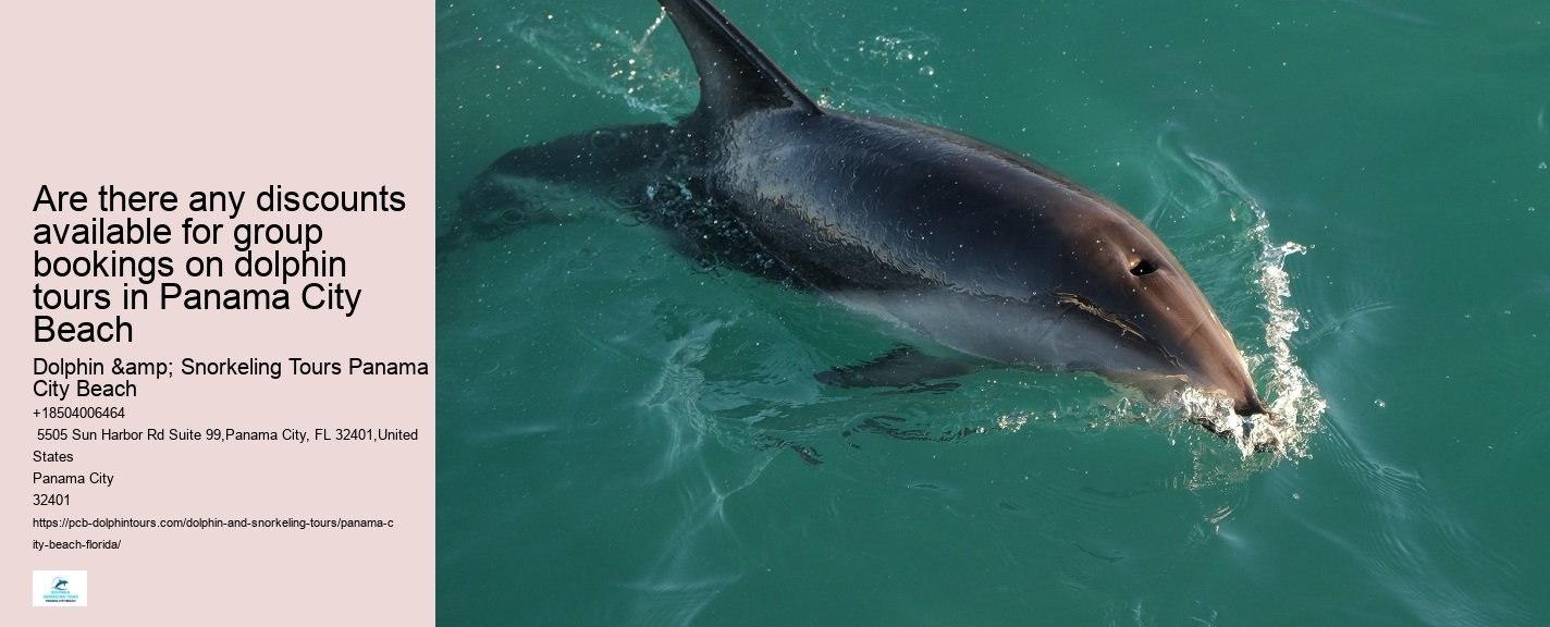 Dolphins