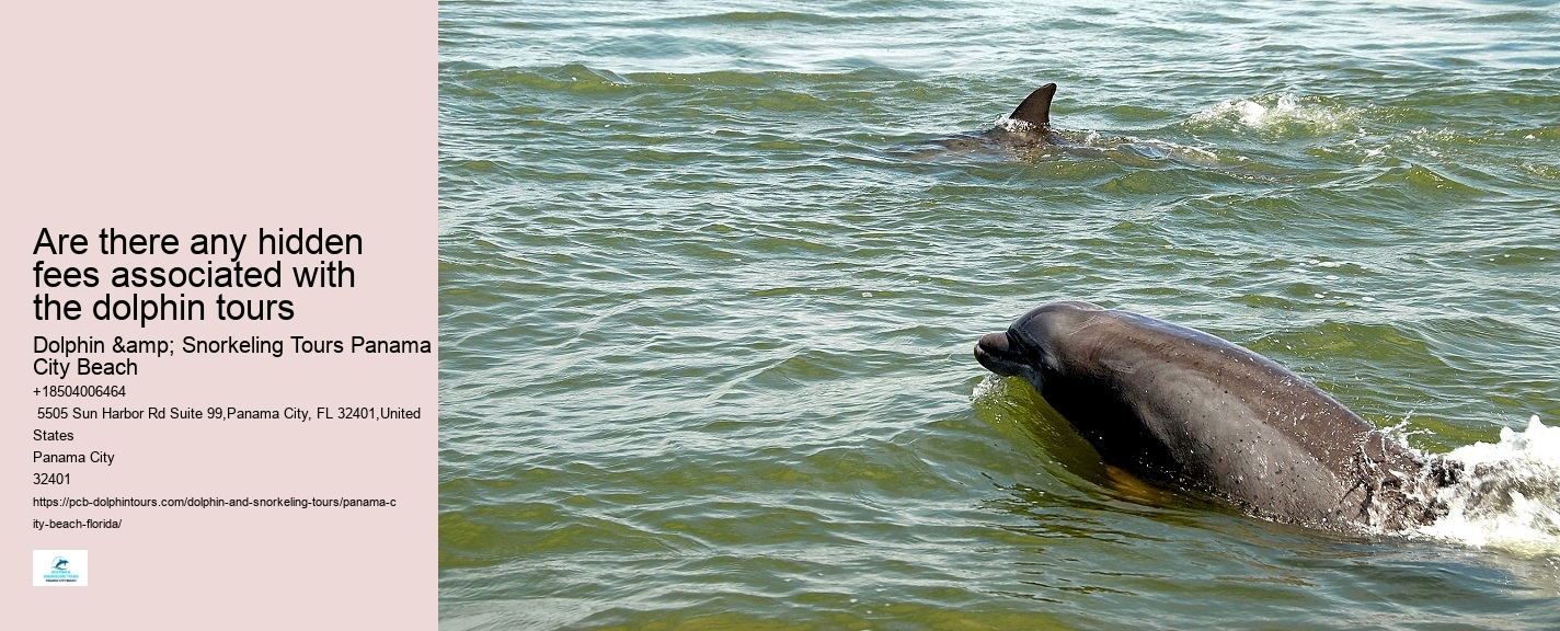 Can I request a specific guide for my dolphin tour