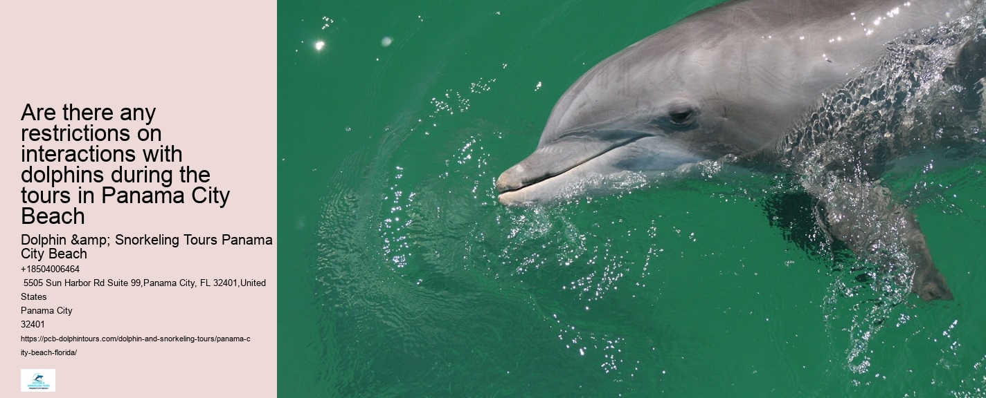 Are there any restrictions on interactions with dolphins during the tours in Panama City Beach