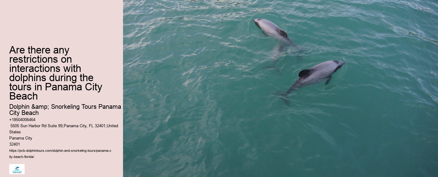 Panama City Beach dolphin cruise
