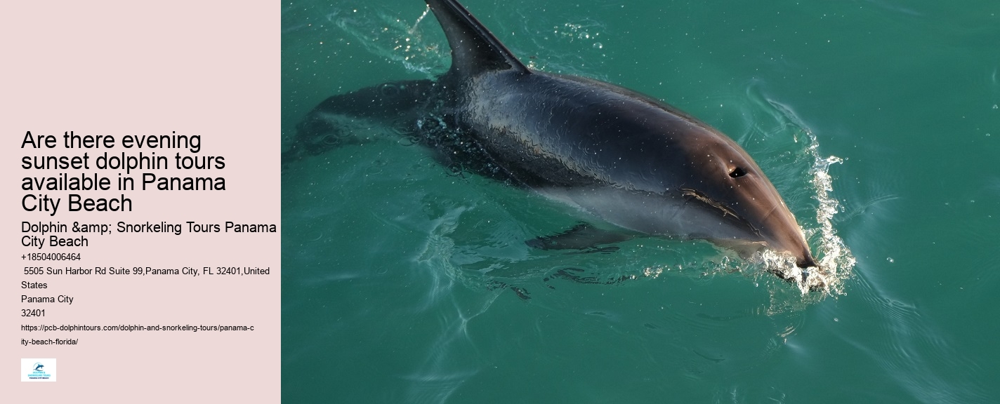 Are there evening sunset dolphin tours available in Panama City Beach