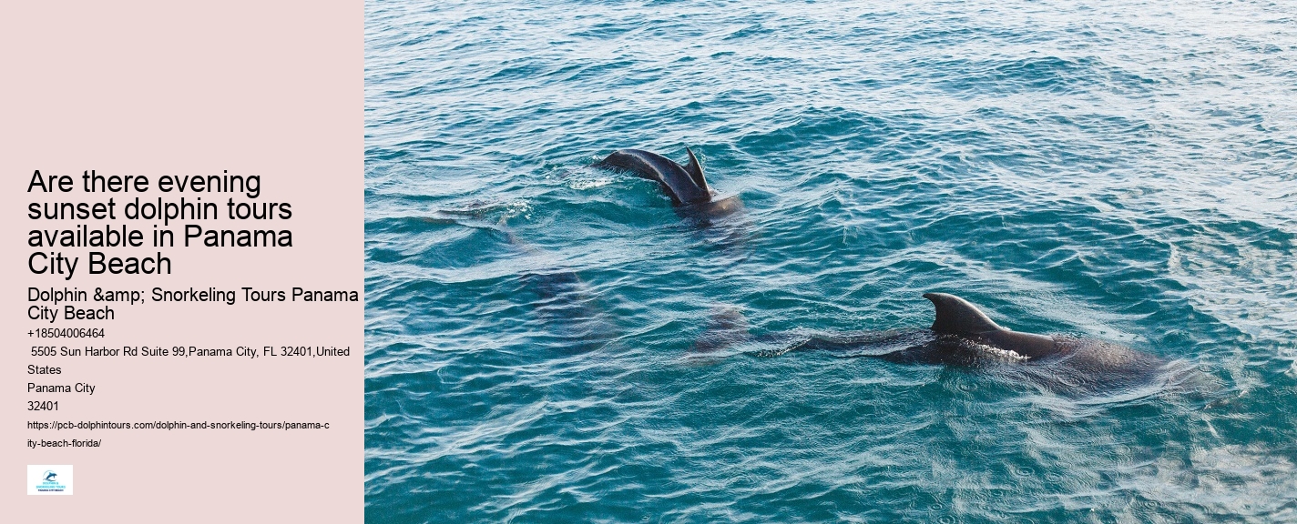 What Should I Bring To Dolphin Cove