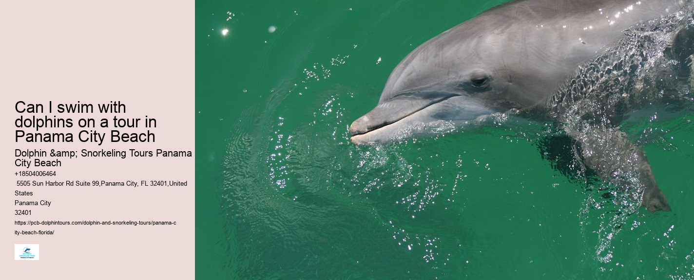 Can I swim with dolphins on a tour in Panama City Beach