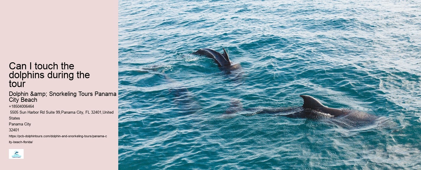 Panama City Beach dolphin safari