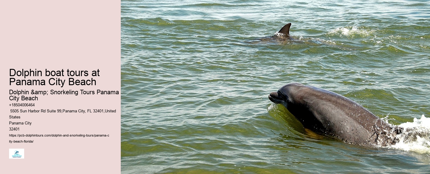 Panama City Beach Dolphin Tours Prices