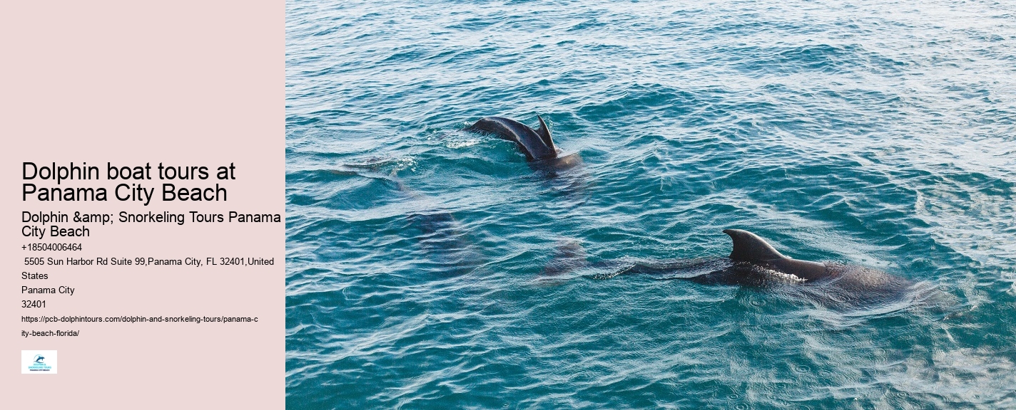 Panama City Beach dolphin sightseeing tours