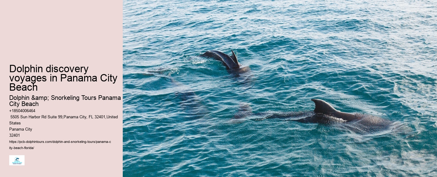 Cheap Dolphin Tours In Panama City Beach