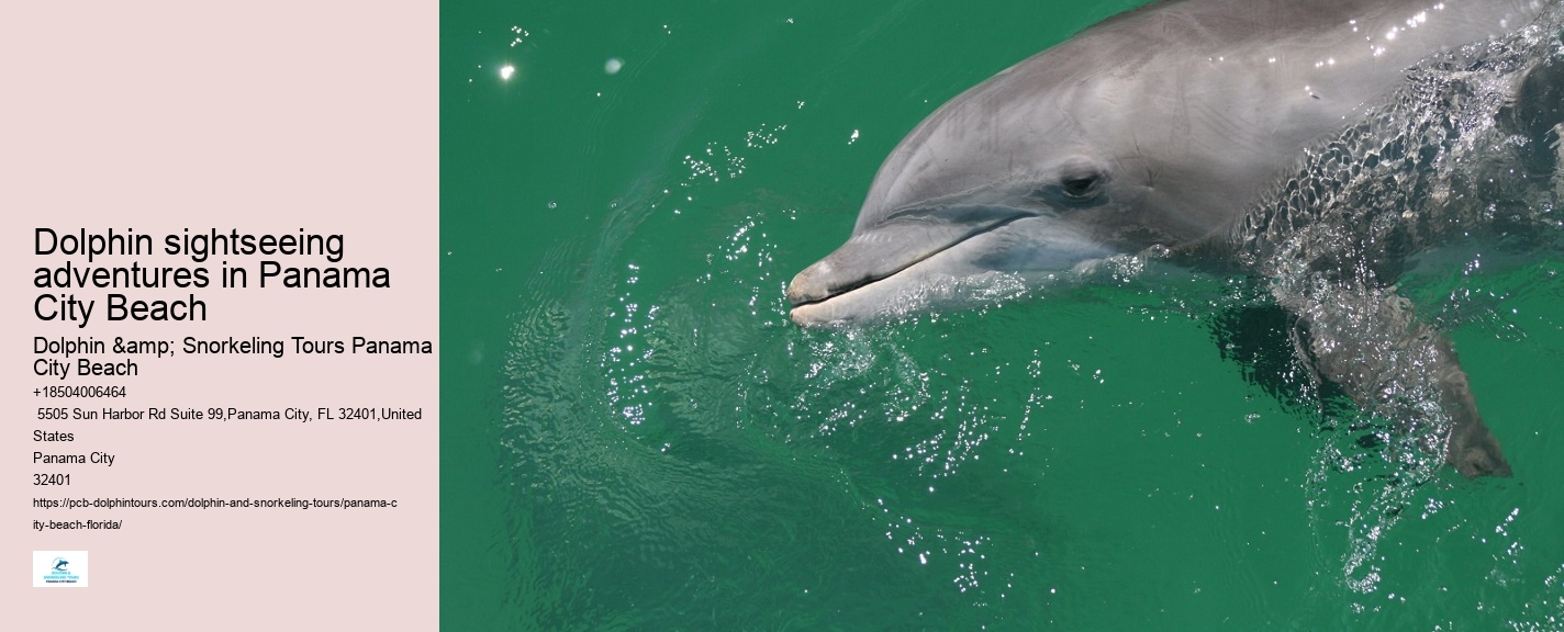 Are There Dolphins In Panama City Beach