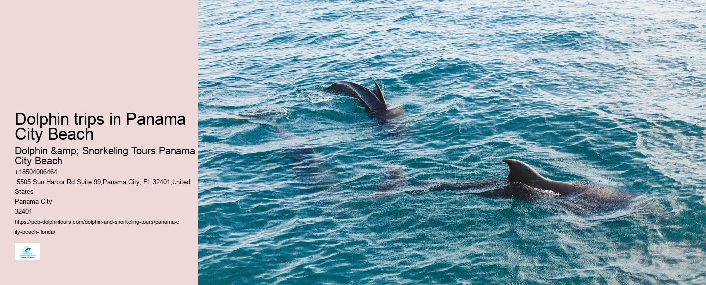 Can I feed the dolphins during the tour