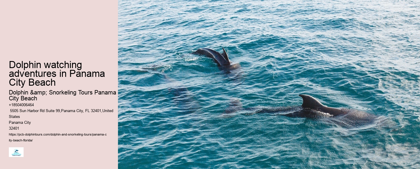 What Should I Bring To Dolphin Cove