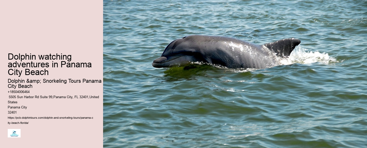 Panama City Beach dolphin spotting cruises