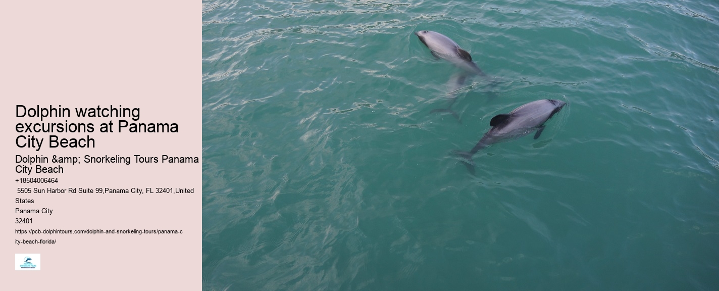 Dolphin watching trips at Panama City Beach