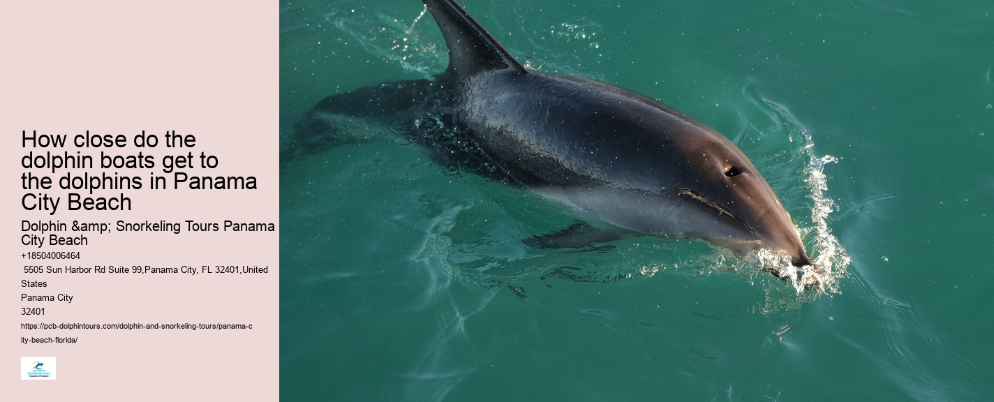 How much does a dolphin tour in Panama City Beach cost
