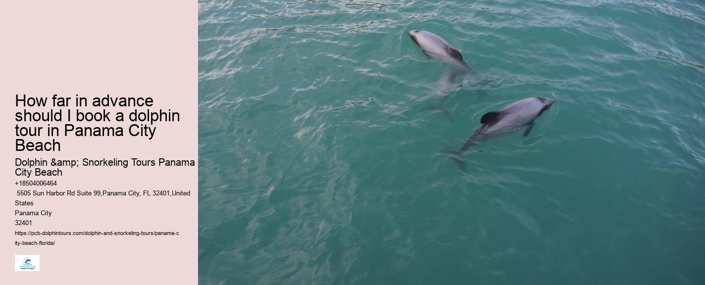 Panama City Beach dolphin expedition cruises
