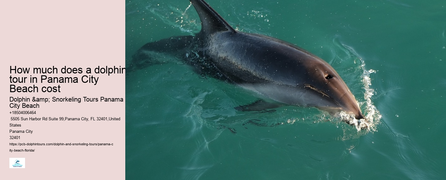 How much does a dolphin tour in Panama City Beach cost