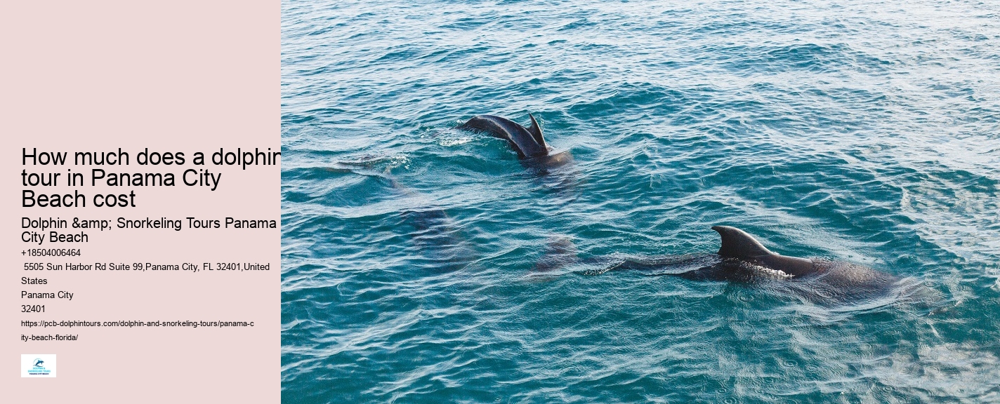 Best Panama City Beach Boat Tours