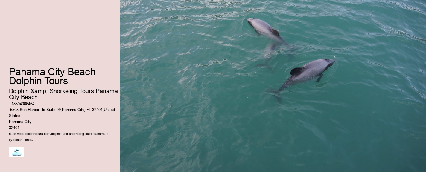 Panama City Beach dolphin boat excursions