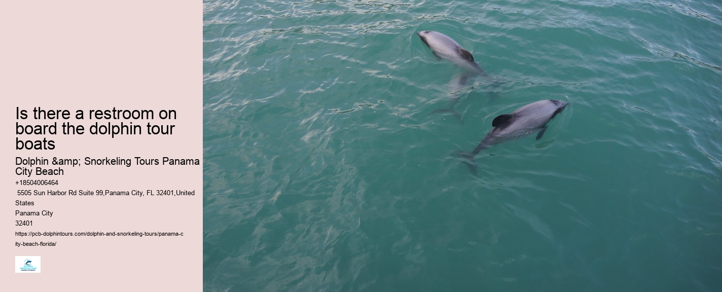 What should I bring with me on a dolphin tour in Panama City Beach