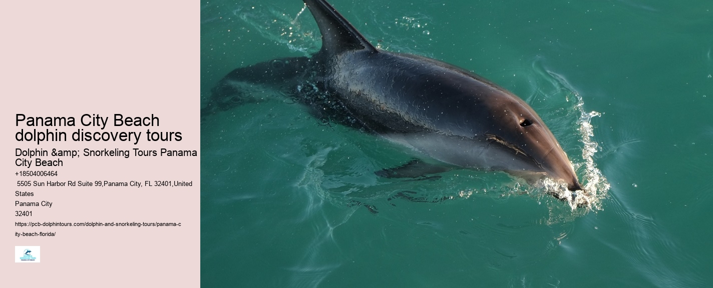 Panama City Beach dolphin discovery tours