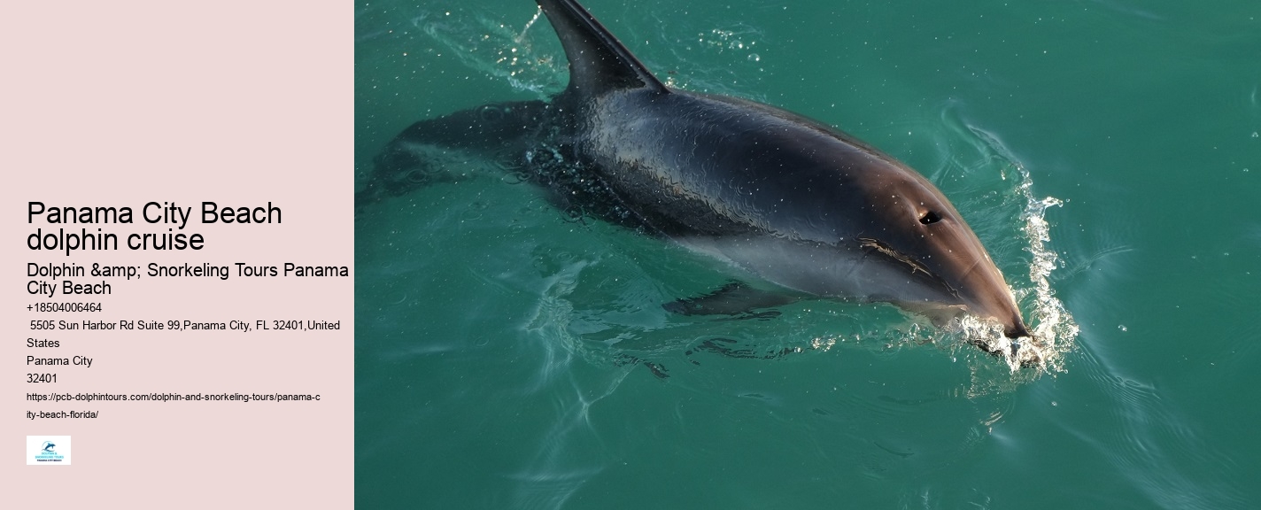 Dolphin behavior