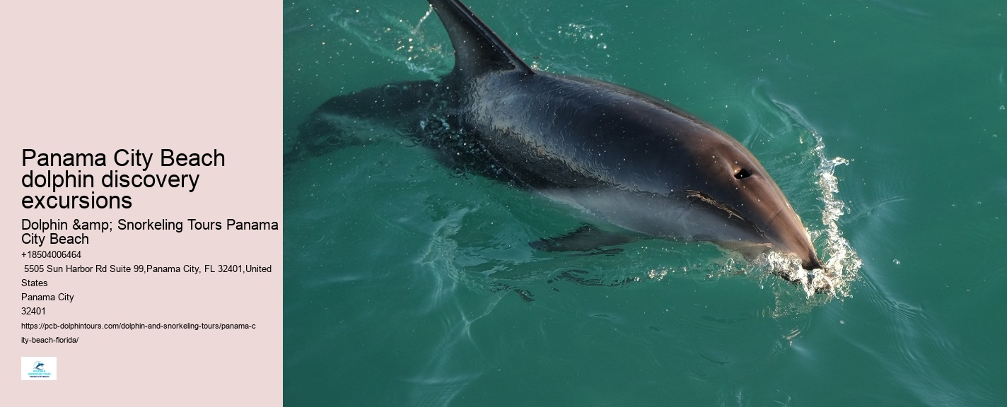 PCB Dolphin Sightseeing Tours