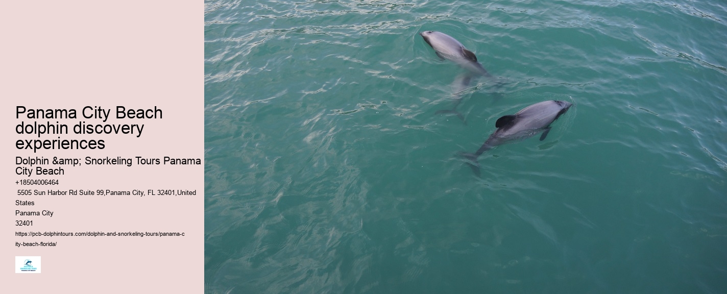PCB Dolphin Watching Experiences