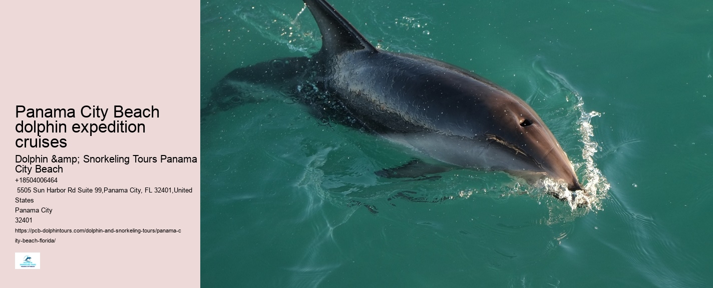 City Beach Dolphin