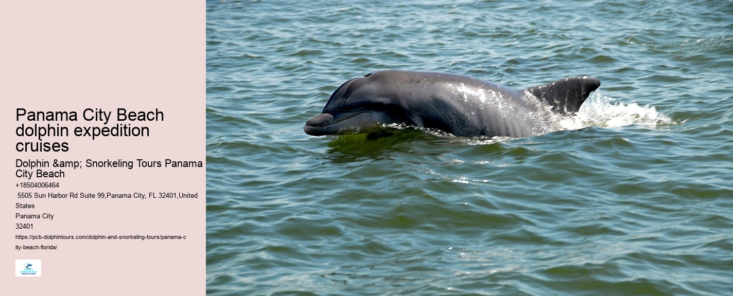 Dolphin Tours Near Panama City Beach