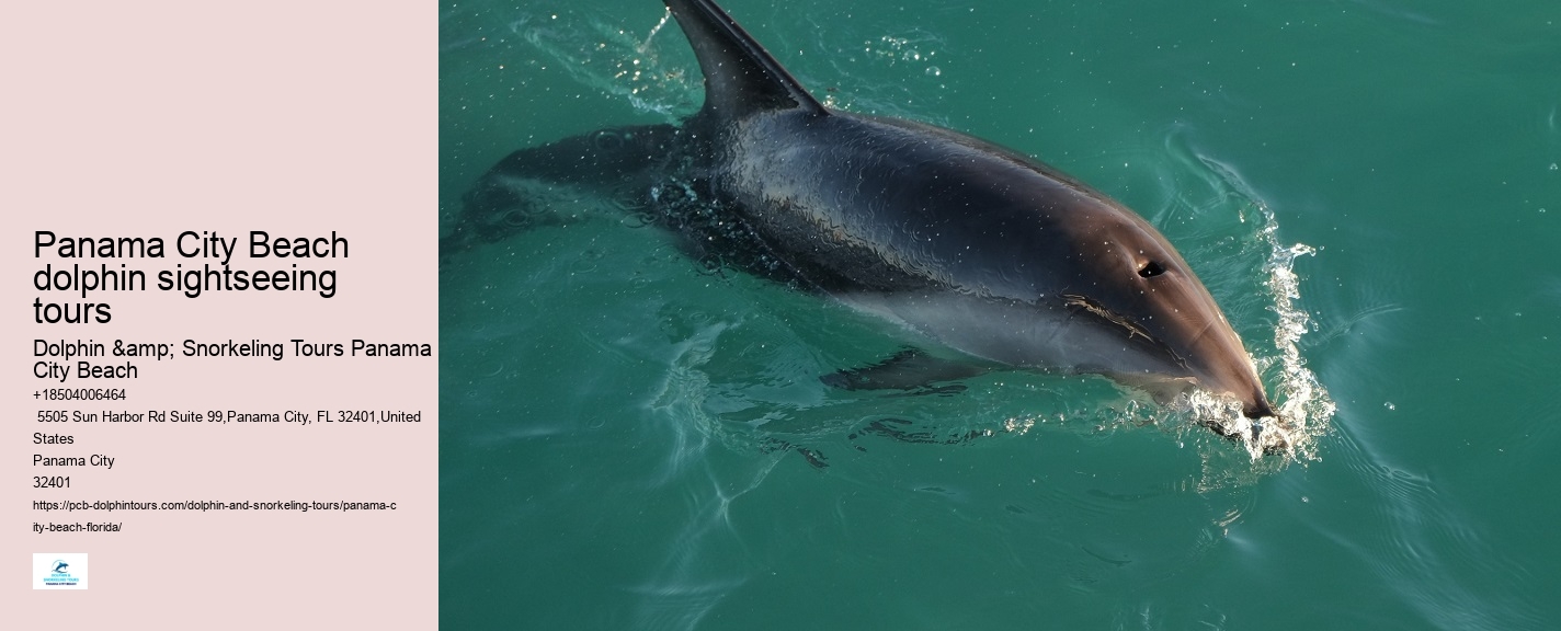 Panama City Beach Dolphin Jet Ski Tours