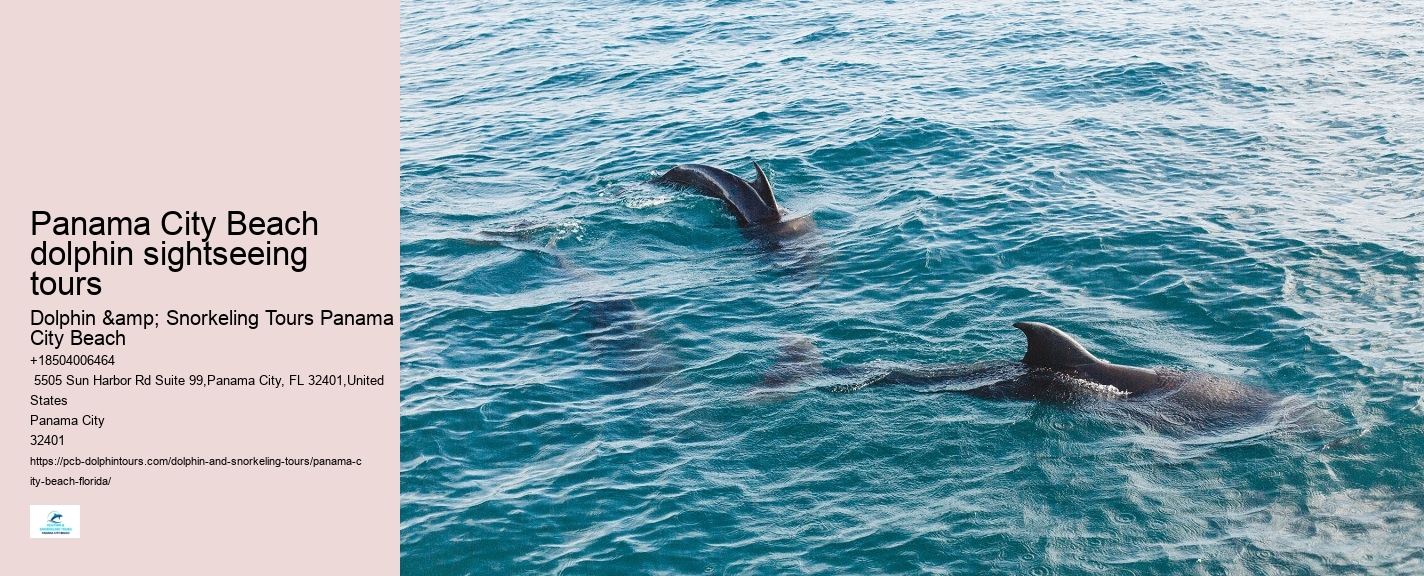 Swimming With Dolphins