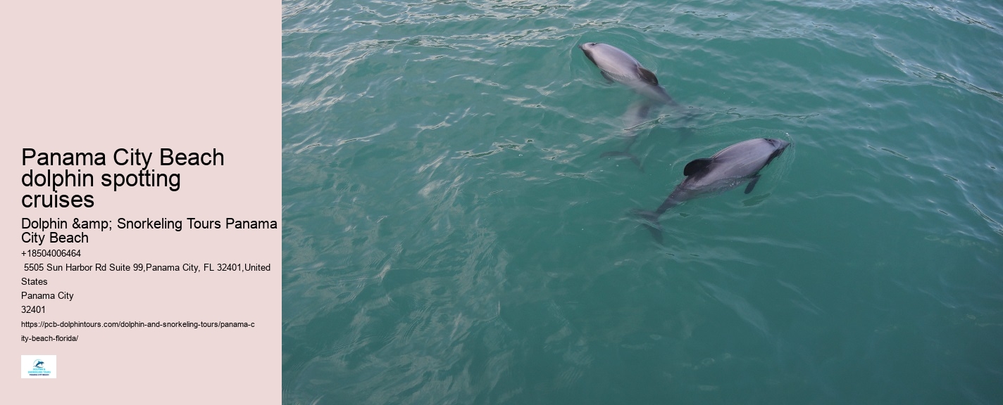 Dolphin & Snorkeling Tours Panama City Beach