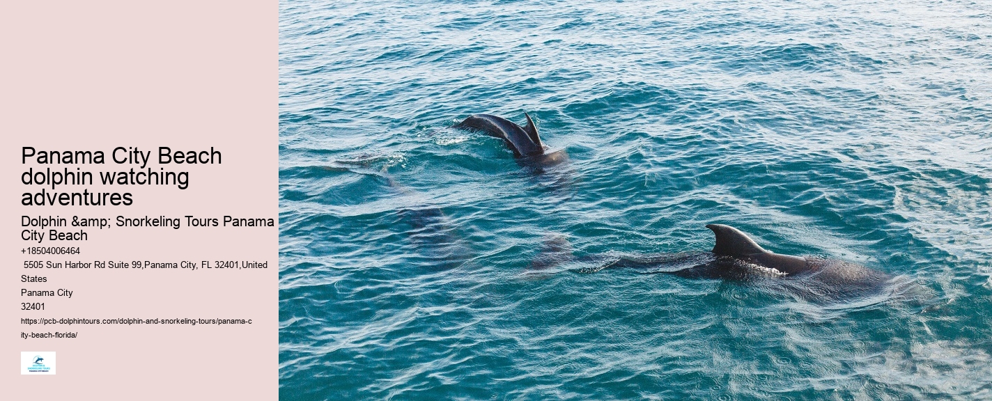 Panama City Beach dolphin discovery tours