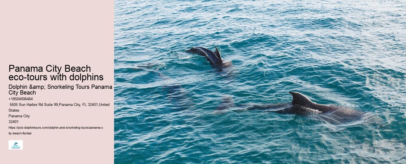 Where In Florida Do You Swim With Dolphins