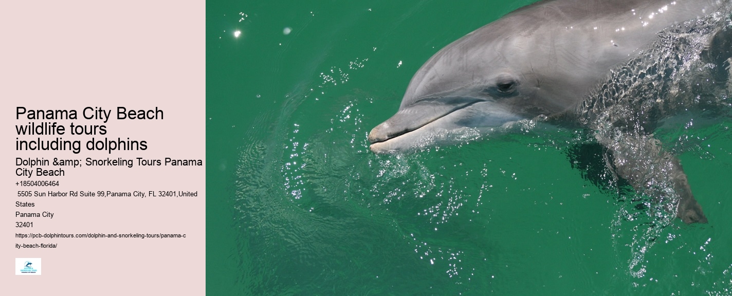 Panama City Beach wildlife tours including dolphins