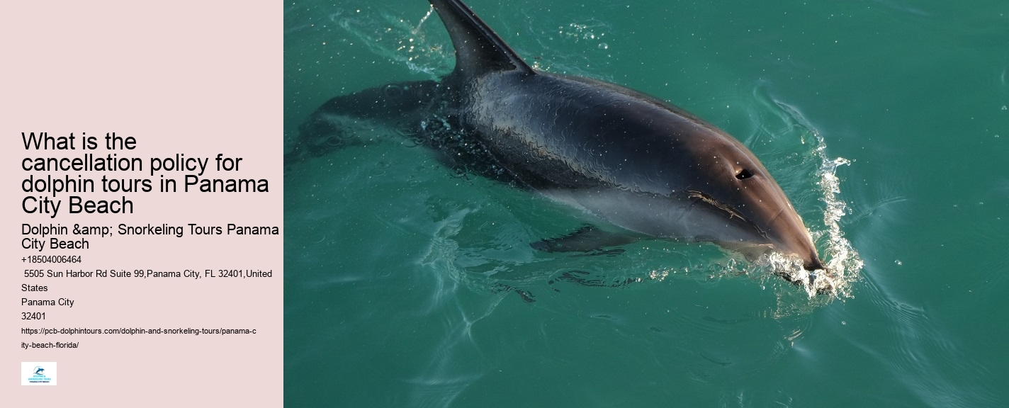 Dolphin Safari Adventures in PCB