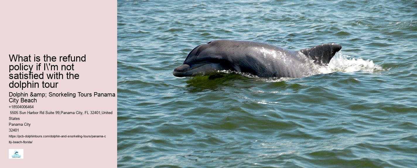 Panama City Beach Shell Island Dolphin Tour