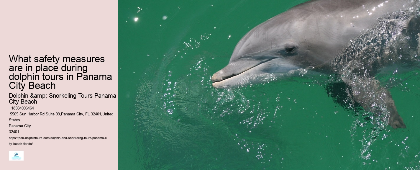 Can I interact with other marine animals besides dolphins on the tour