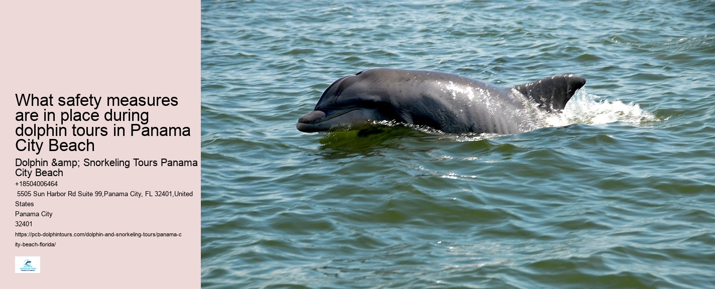 Panama City Beach dolphin boat adventures