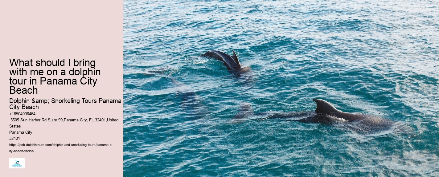 Sunset Dolphin Tours Panama City Beach